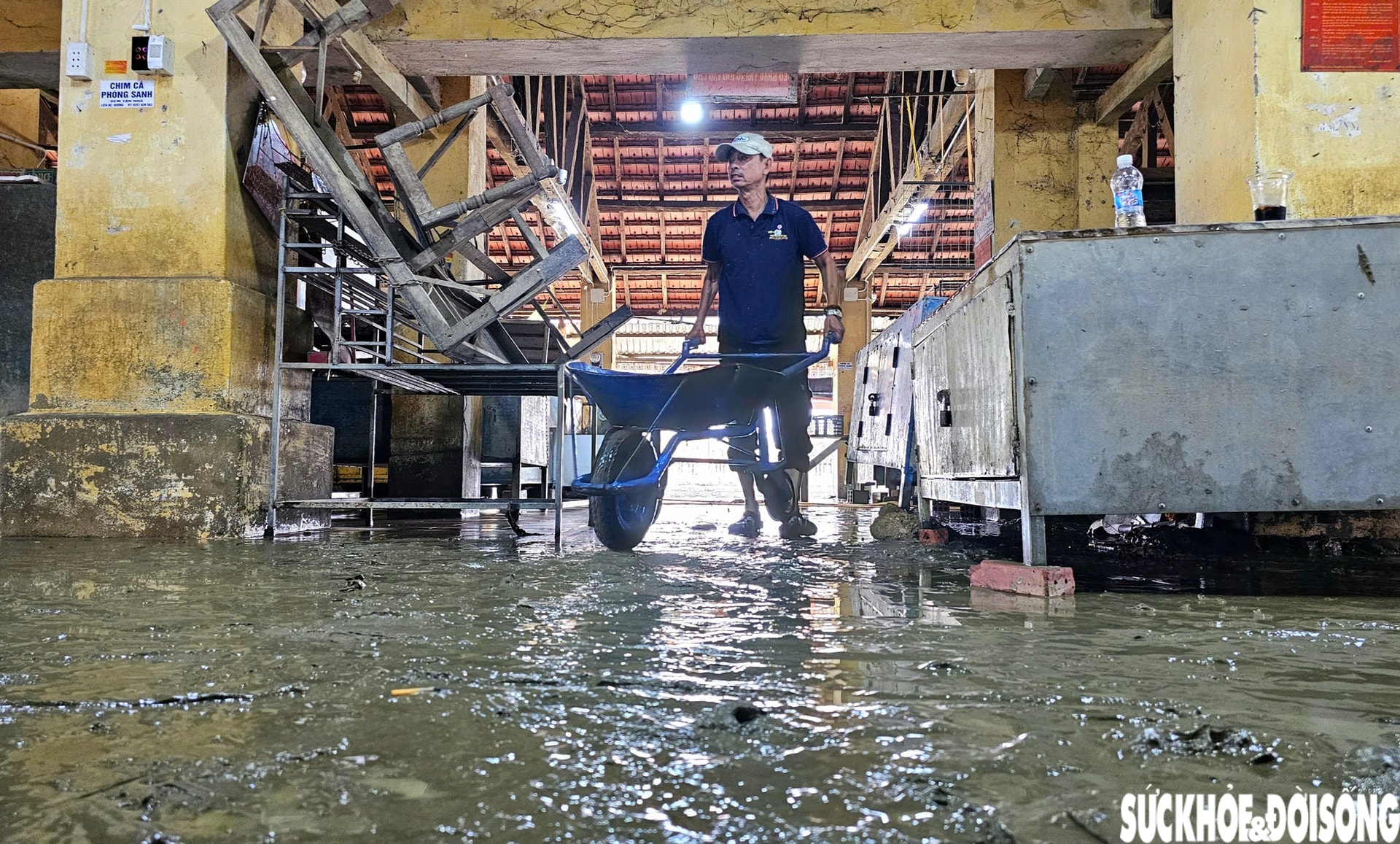 Người dân phố cổ Bao Vinh gượng dậy sau lũ lịch sử- Ảnh 16. Người dân phố cổ Bao Vinh gượng dậy sau lũ lịch sử- Ảnh 16.