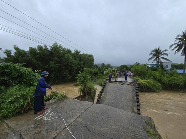 Bộ Nông nghiệp và Môi trường chỉ đạo khắc phục sự cố thiên tai gãy cầu Cây Sung ở Quảng Ngãi- Ảnh 2.