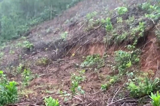 Đỉnh đồi ở Huế xuất hiện vết nứt hở hơn 1m- Ảnh 1.