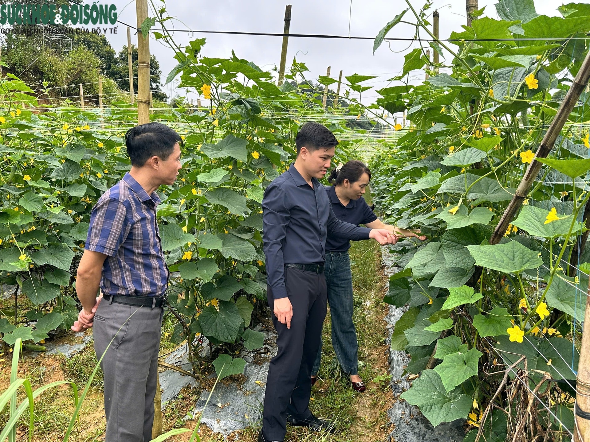 Góp ý kiến vào dự thảo văn kiện Đại hội XIV: Bản làng đổi thay từng ngày- Ảnh 2. Góp ý kiến vào dự thảo văn kiện Đại hội XIV: Bản làng đổi thay từng ngày- Ảnh 2.