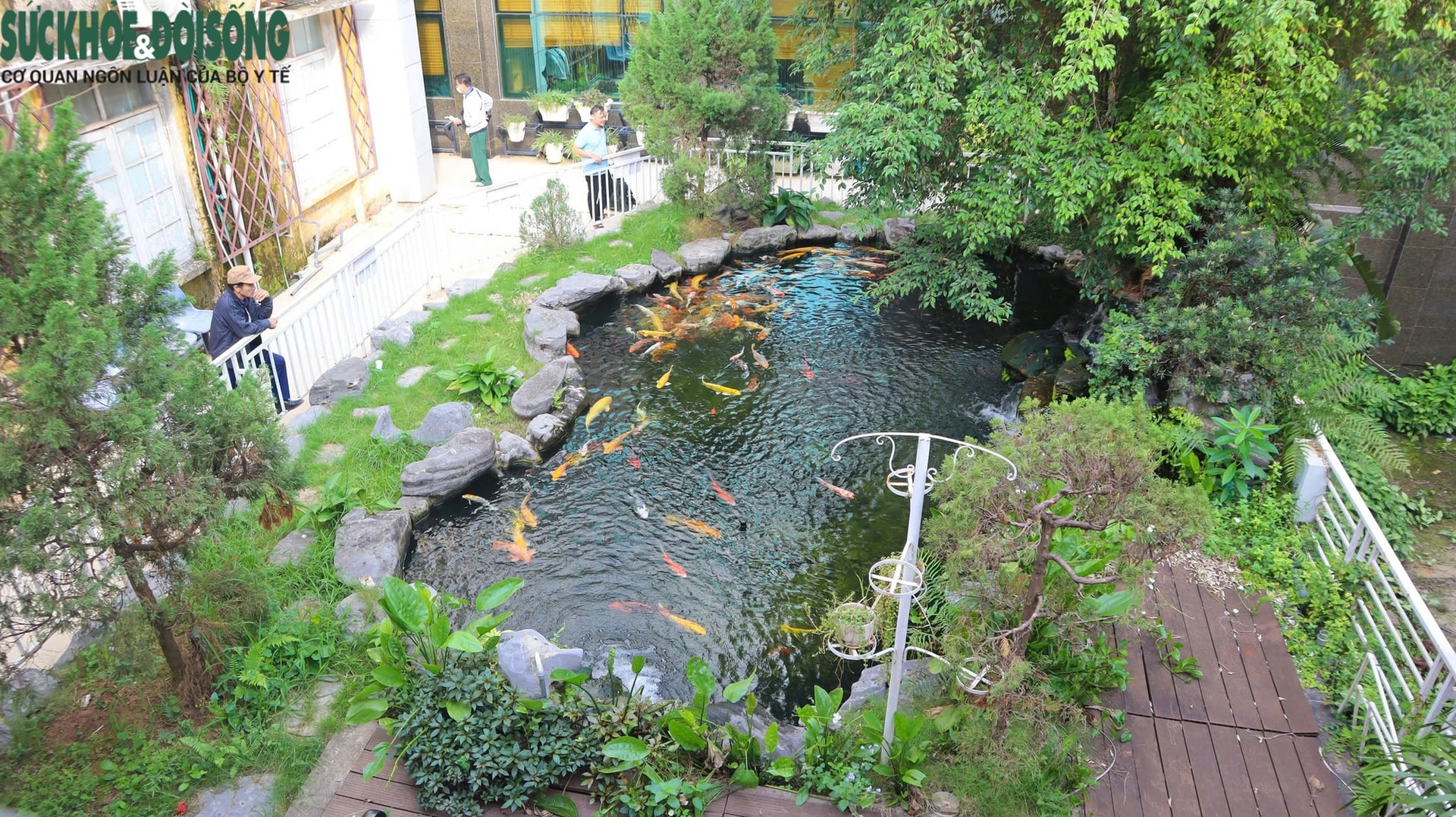 Xanh hóa bệnh viện, hướng tới sự hài lòng của người bệnh- Ảnh 2. Xanh hóa bệnh viện, hướng tới sự hài lòng của người bệnh- Ảnh 2.