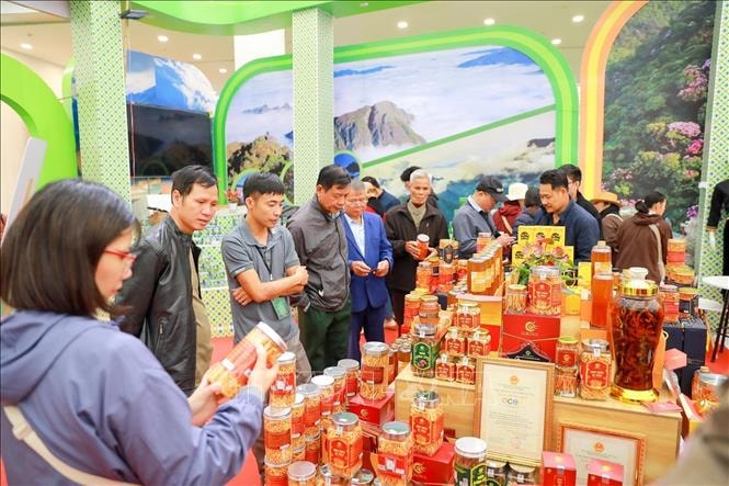 Hấp dẫn những 'miền đặc sản' tại Hội chợ Mùa Thu 2025- Ảnh 2. Hấp dẫn những 'miền đặc sản' tại Hội chợ Mùa Thu 2025- Ảnh 2.