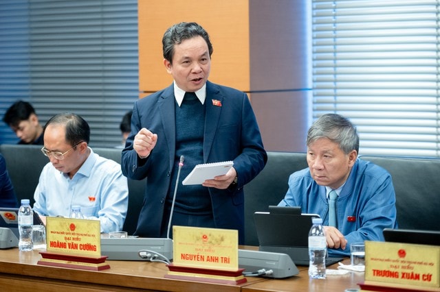 Đại biểu Quốc hội: Nhiều cuộc tổng điều tra không còn cần thiết- Ảnh 2.