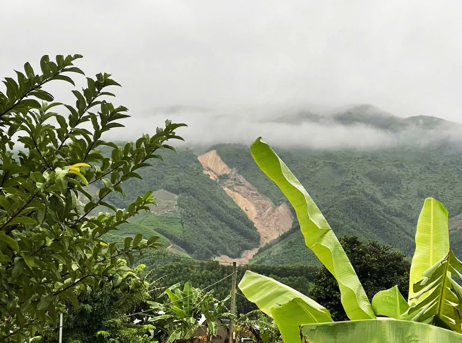 Sườn núi sạt lở dài 2km, một người đàn ông đi tìm gia súc tử vong- Ảnh 1. Sườn núi sạt lở dài 2km, một người đàn ông đi tìm gia súc tử vong- Ảnh 1.