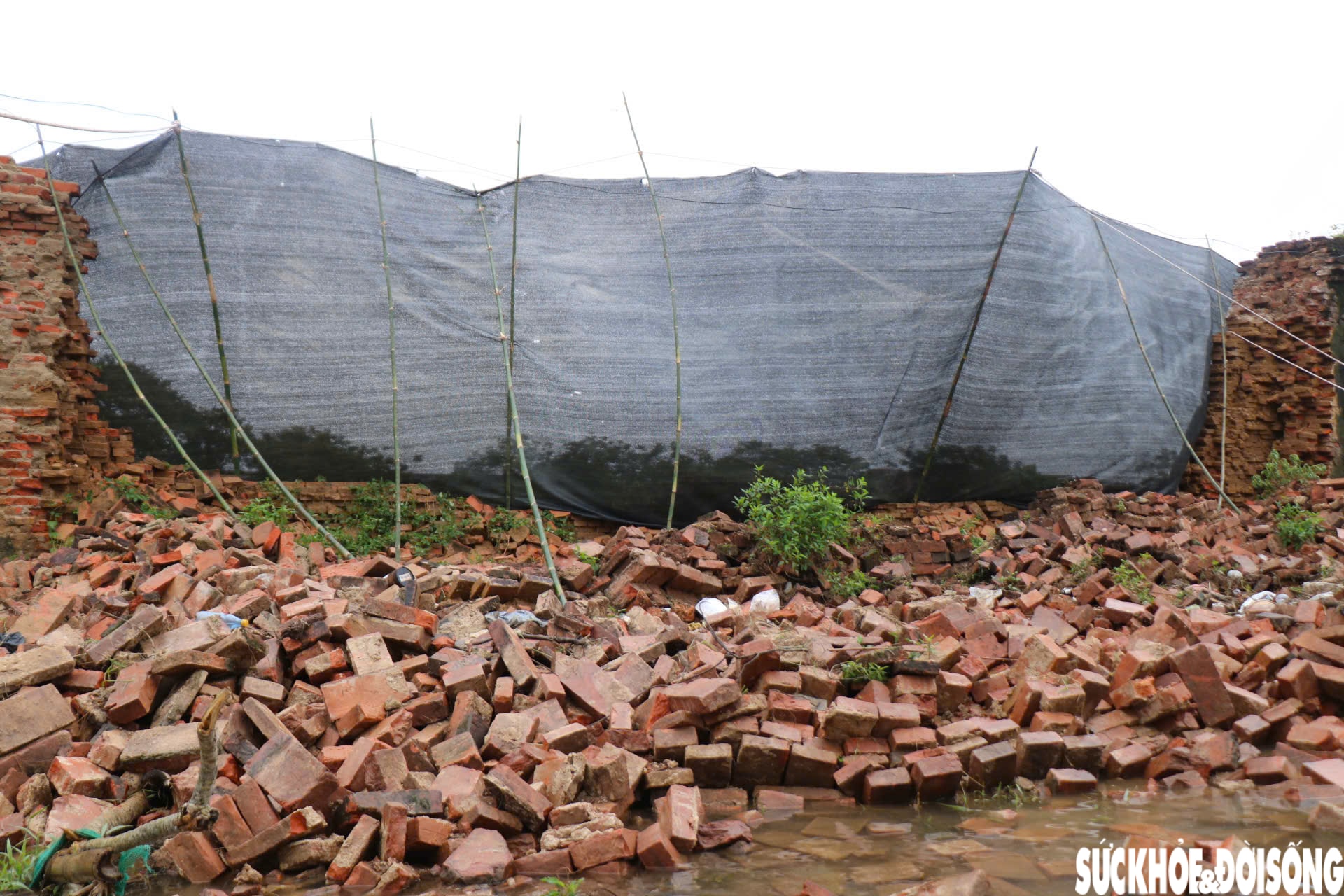 Hiện trường đoạn bờ tường Hoàng thành Huế bị mưa lũ 'kéo sập'- Ảnh 3.