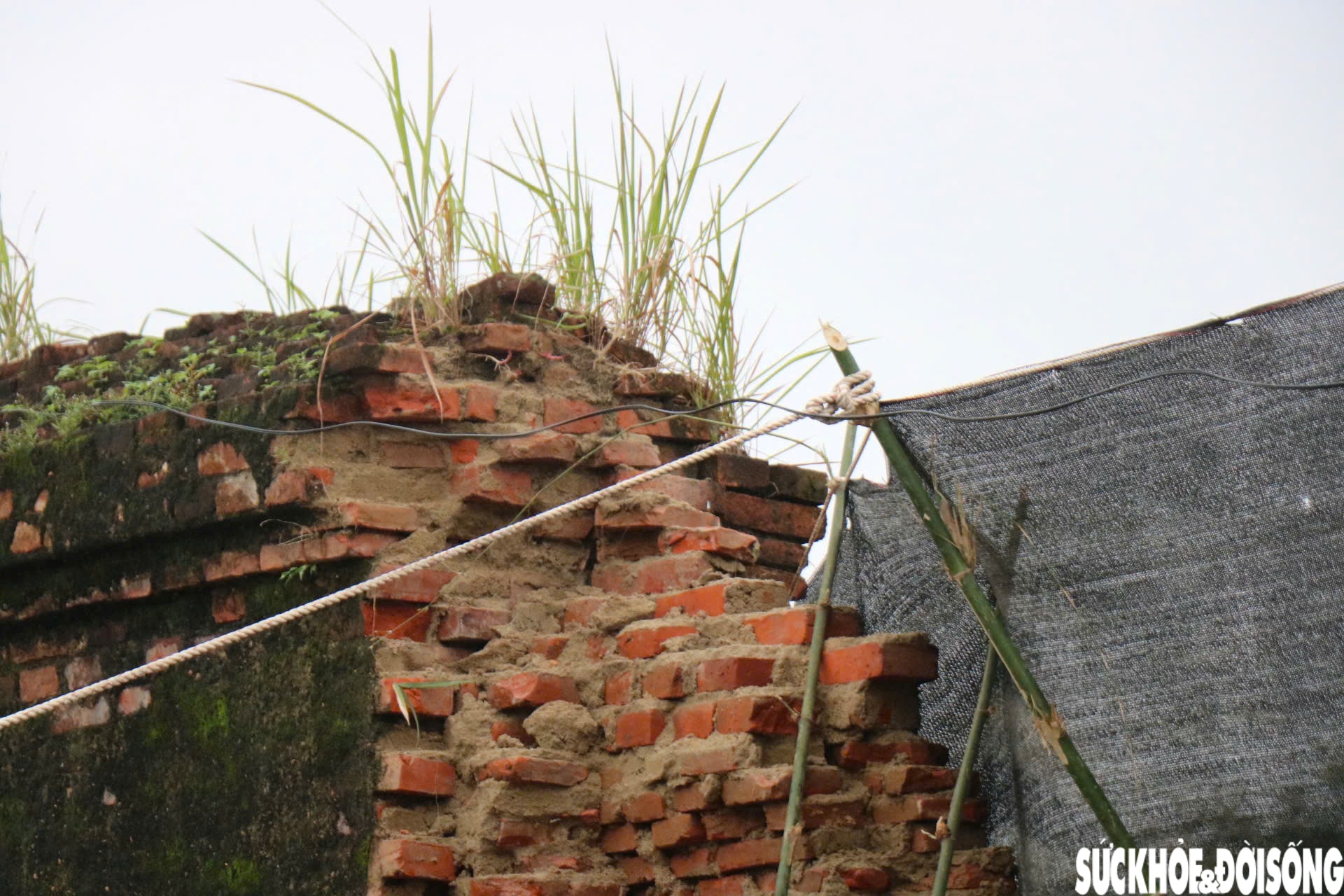 Hiện trường đoạn bờ tường Hoàng thành Huế bị mưa lũ 'kéo sập'- Ảnh 7.