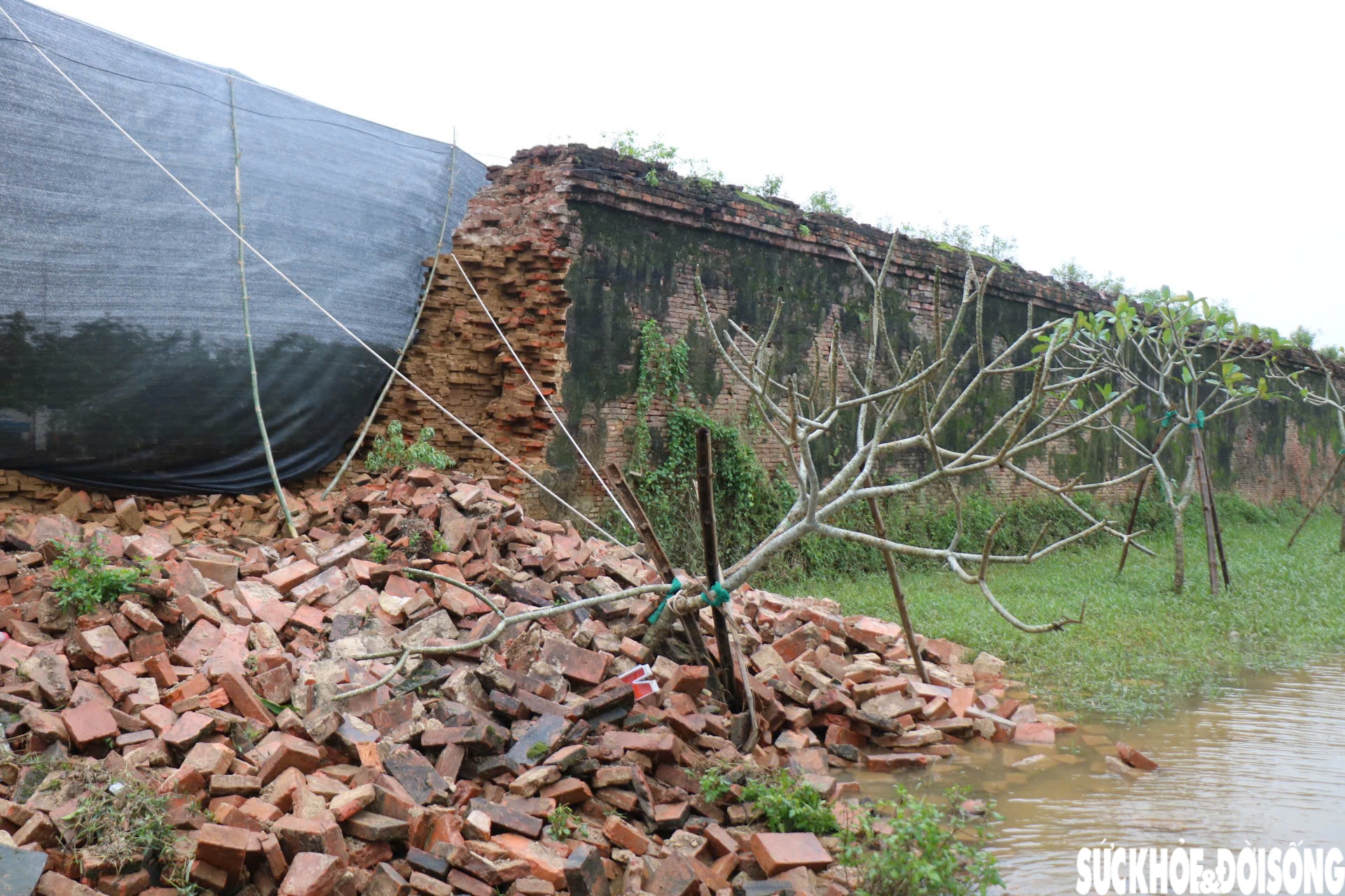 Hiện trường đoạn bờ tường Hoàng thành Huế bị mưa lũ 'kéo sập'- Ảnh 8.