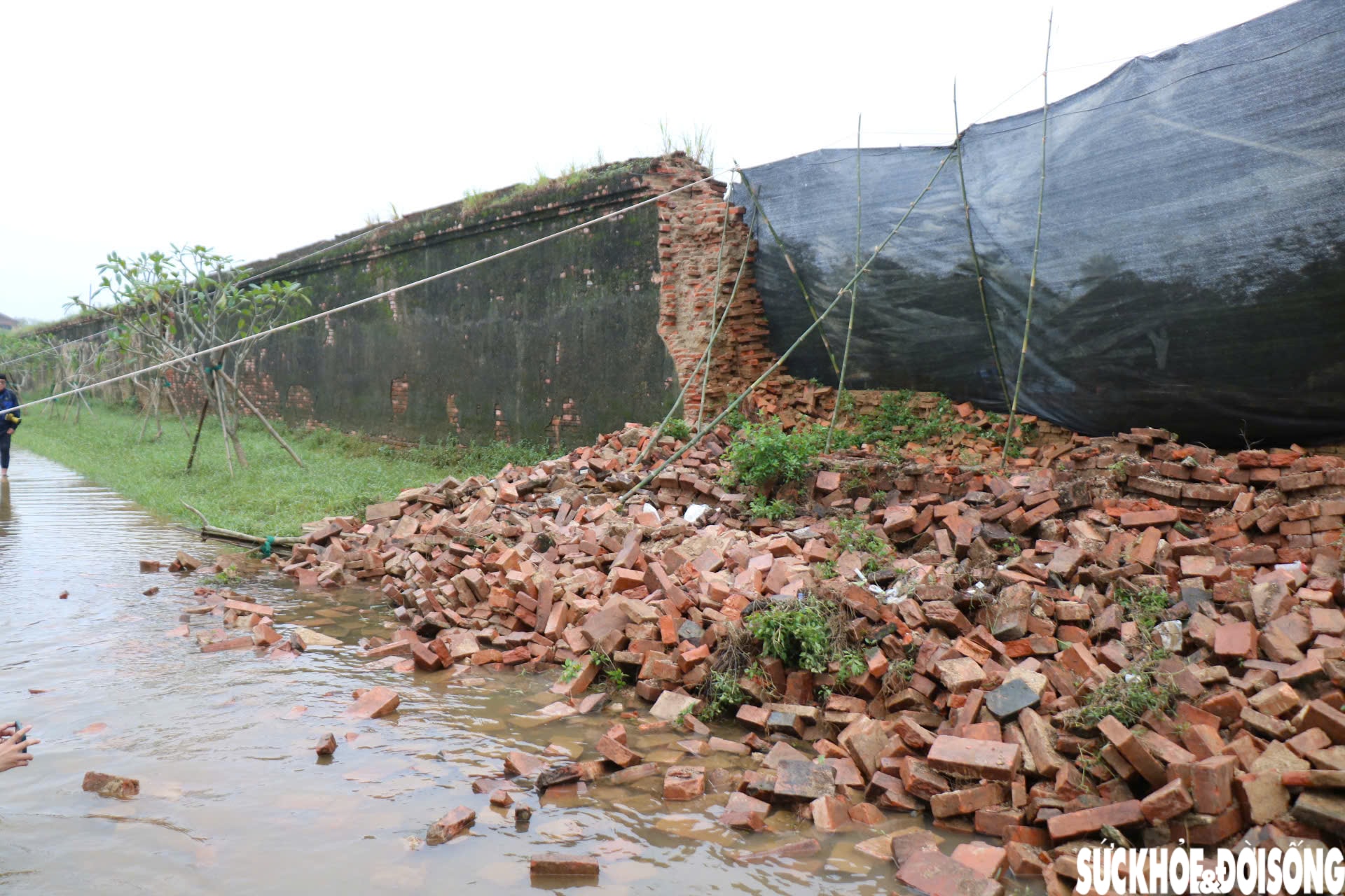 Hiện trường đoạn bờ tường Hoàng thành Huế bị mưa lũ 'kéo sập'- Ảnh 9.