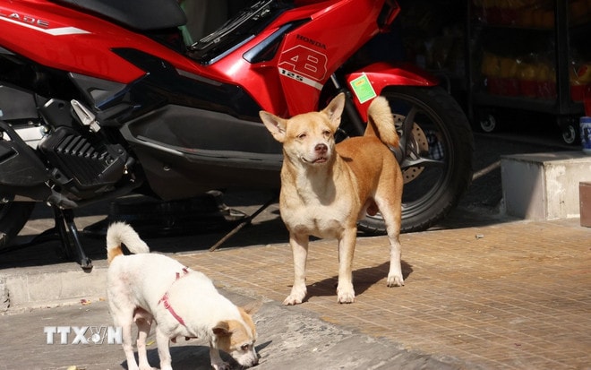 Hành vi cưỡng ép con học tập quá sức có thể bị phạt tới 10 triệu đồng- Ảnh 2.