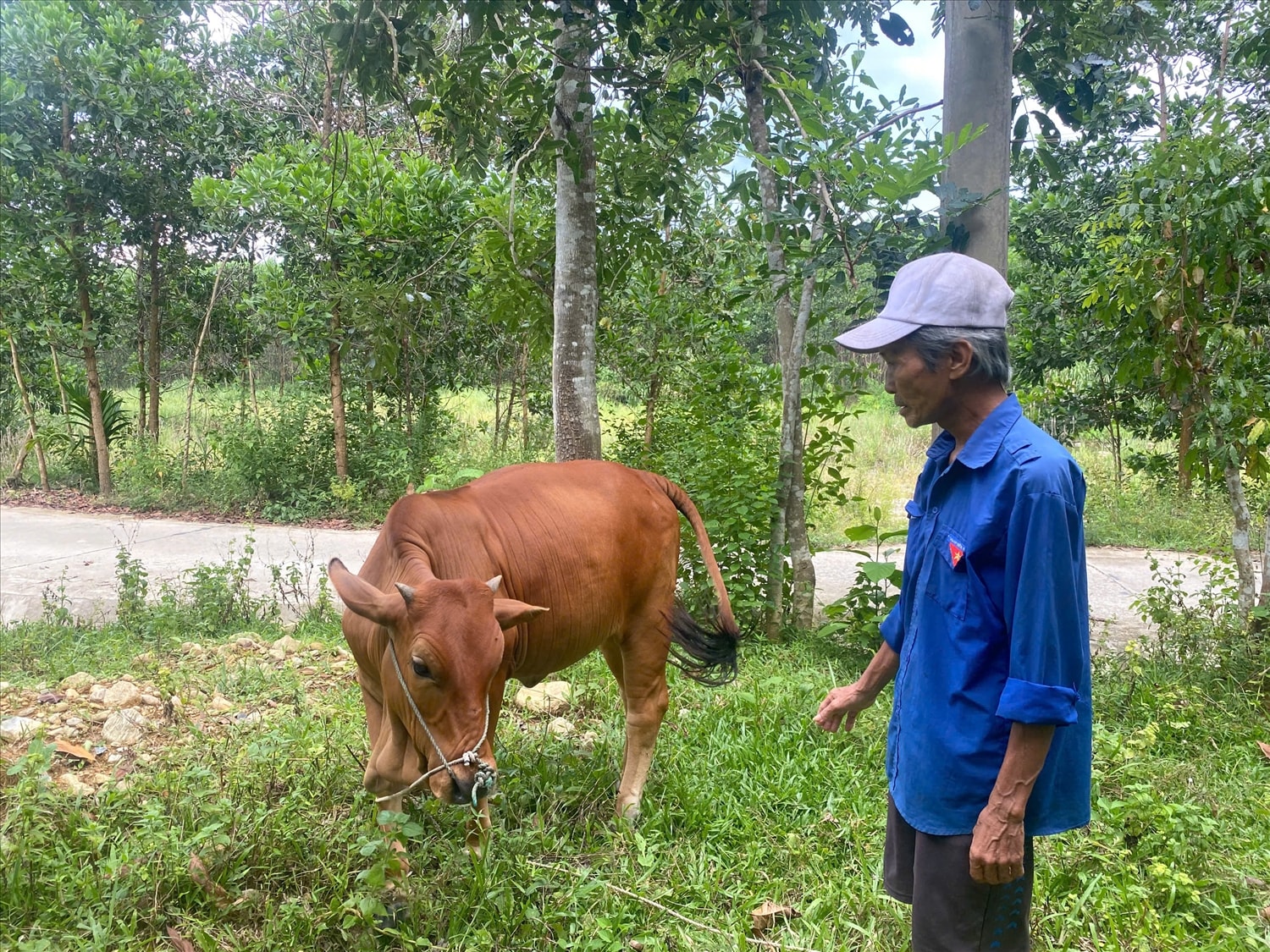 Đà Nẵng: Triển khai đồng bộ nhiều giải pháp giảm nghèo bền vững- Ảnh 1.