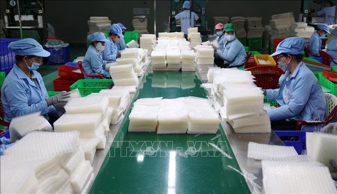 Chính phủ bãi bỏ toàn bộ hoặc một phần đối với 10 nghị định- Ảnh 1.