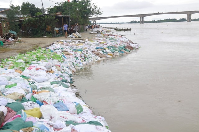 Bờ kè ven sông Thu Bồn bị 'ngoạm' từng mét, hàng nghìn người căng mình giữ đất- Ảnh 3.