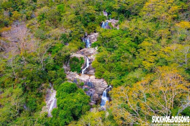 Mở rộng Khu dự trữ sinh quyển Núi Chúa: Kết nối rừng, biển và sinh kế cộng đồng- Ảnh 1.