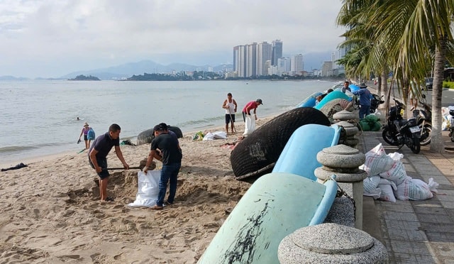 Khánh Hòa ứng phó bão Kalmaegi dự kiến đổ bộ trực tiếp thế nào?- Ảnh 2.