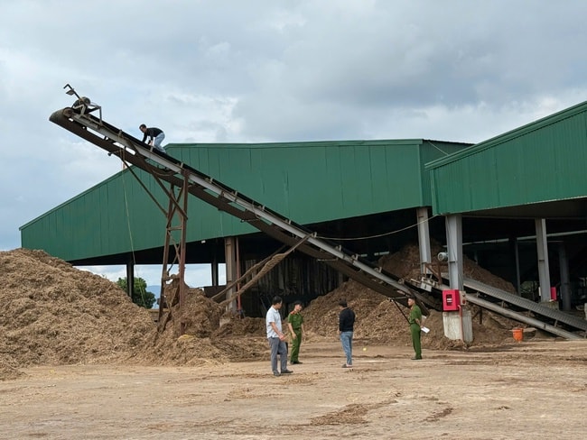 Nguyên nhân vụ tai nạn tại xưởng sản xuất gỗ khiến 2 người thương vong ở Lào Cai- Ảnh 1.