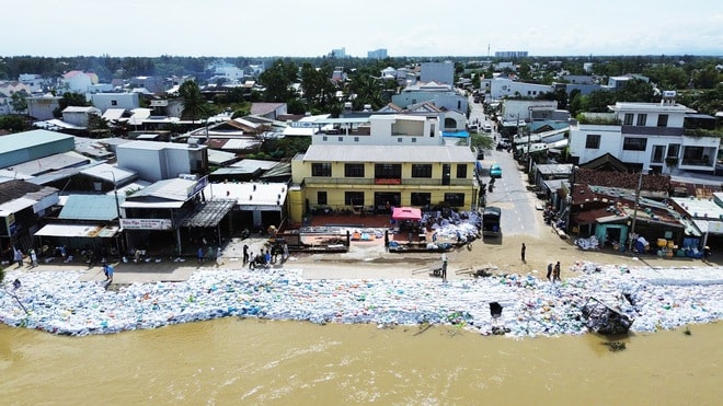 Bờ kè ven sông Thu Bồn bị 'ngoạm' từng mét, hàng nghìn người căng mình giữ đất- Ảnh 9.