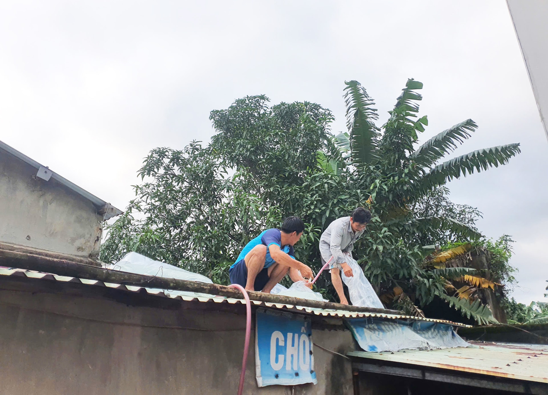 Sau lũ, người dân lại hối hả gia cố nhà cửa chống bão - Ảnh 1.