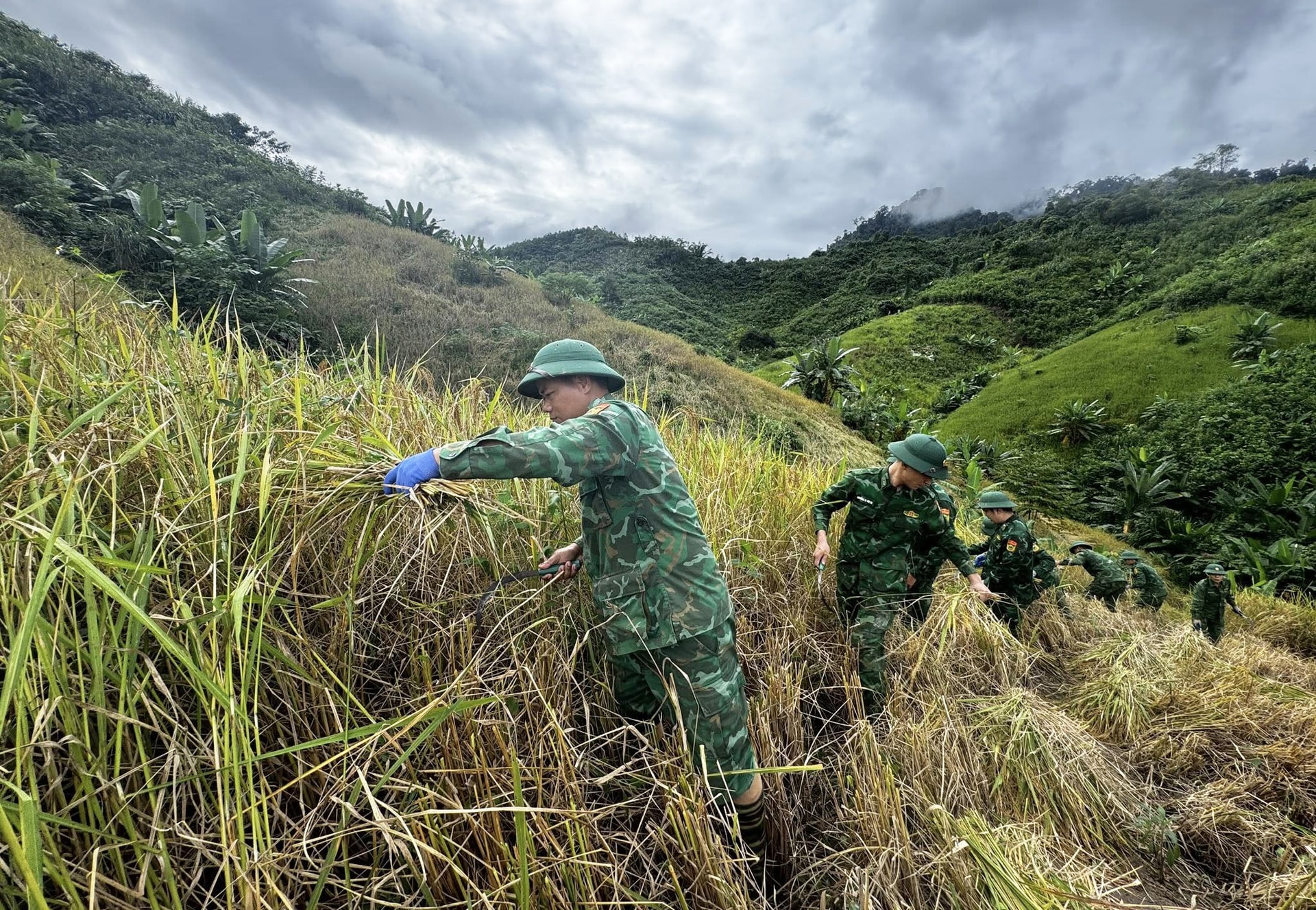 Sau lũ, người dân lại hối hả gia cố nhà cửa chống bão - Ảnh 10.