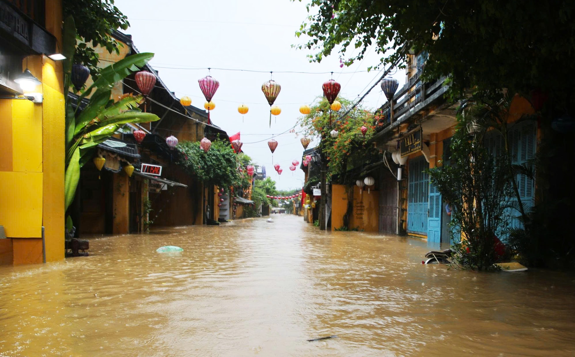 Sau lũ, người dân lại hối hả gia cố nhà cửa chống bão - Ảnh 11.