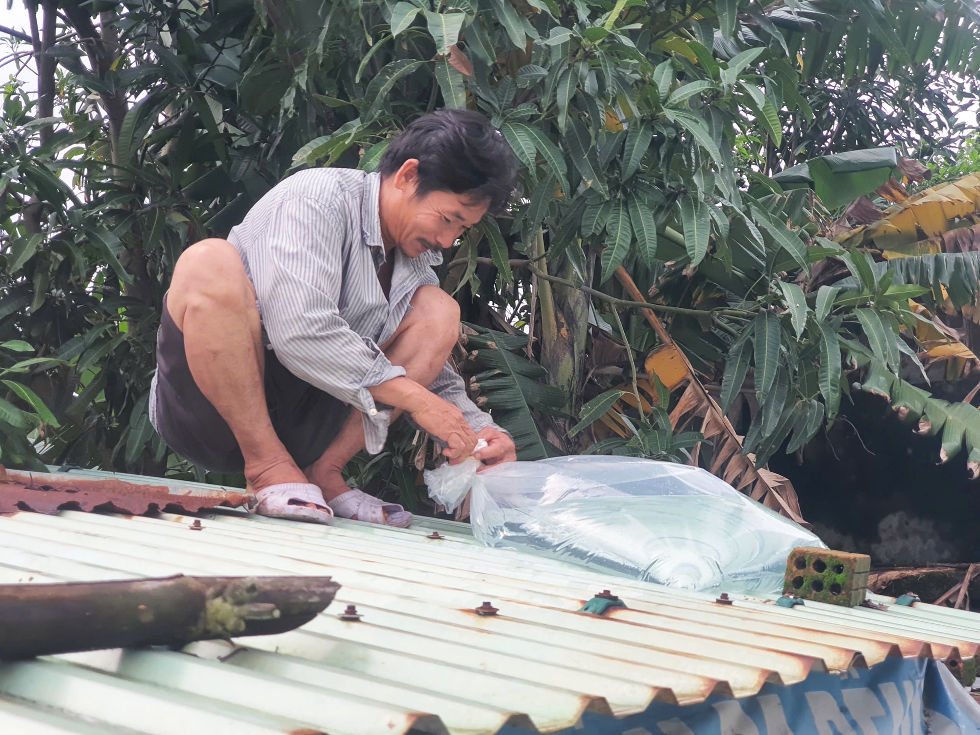 Sau lũ, người dân lại hối hả gia cố nhà cửa chống bão - Ảnh 2.