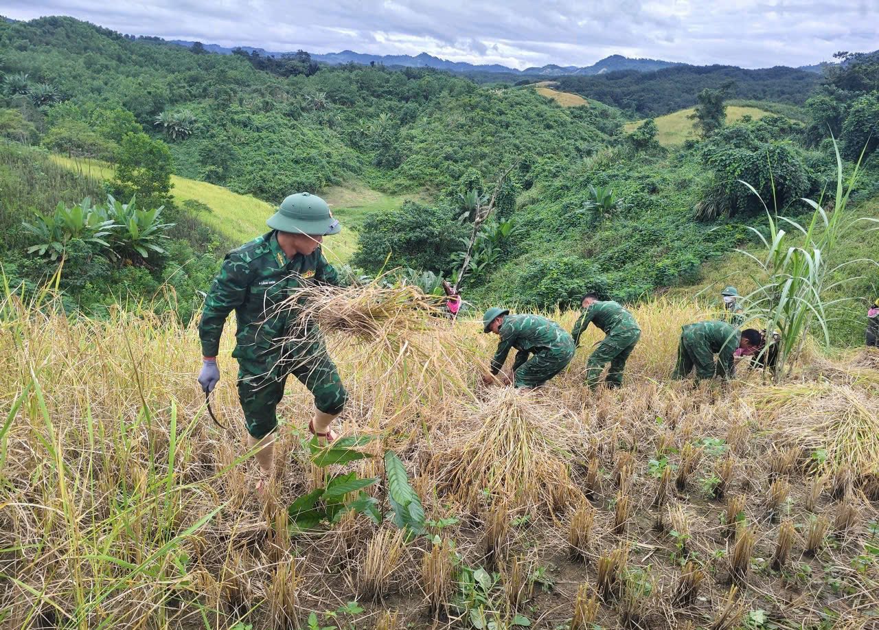 Sau lũ, người dân lại hối hả gia cố nhà cửa chống bão - Ảnh 6.