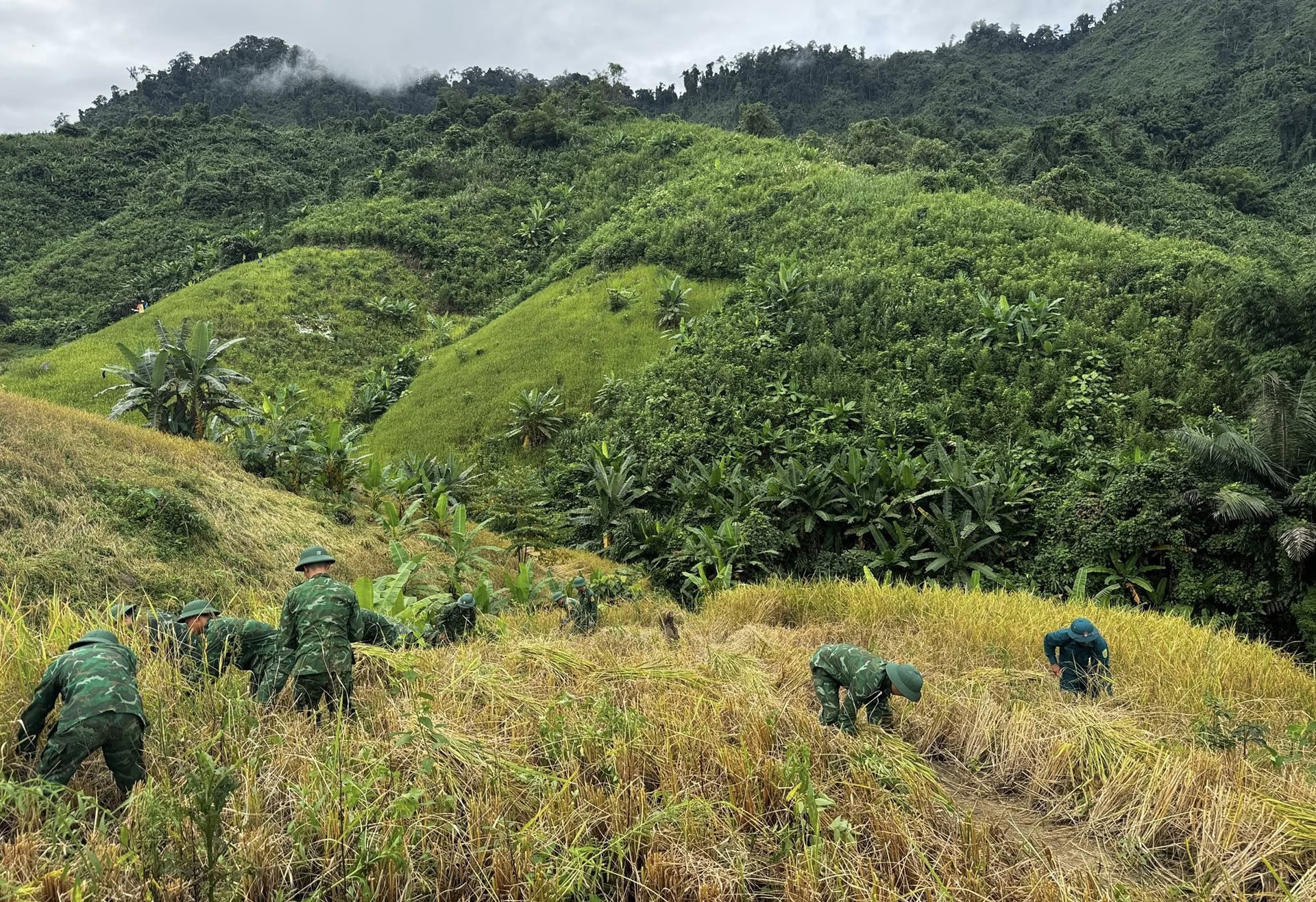Sau lũ, người dân lại hối hả gia cố nhà cửa chống bão - Ảnh 7.