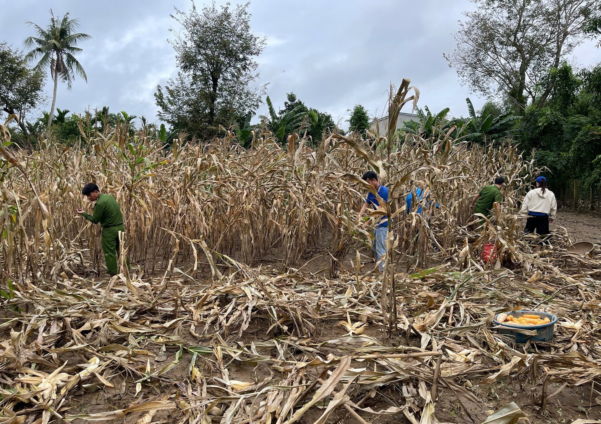 Sau lũ, người dân lại hối hả gia cố nhà cửa chống bão - Ảnh 8.