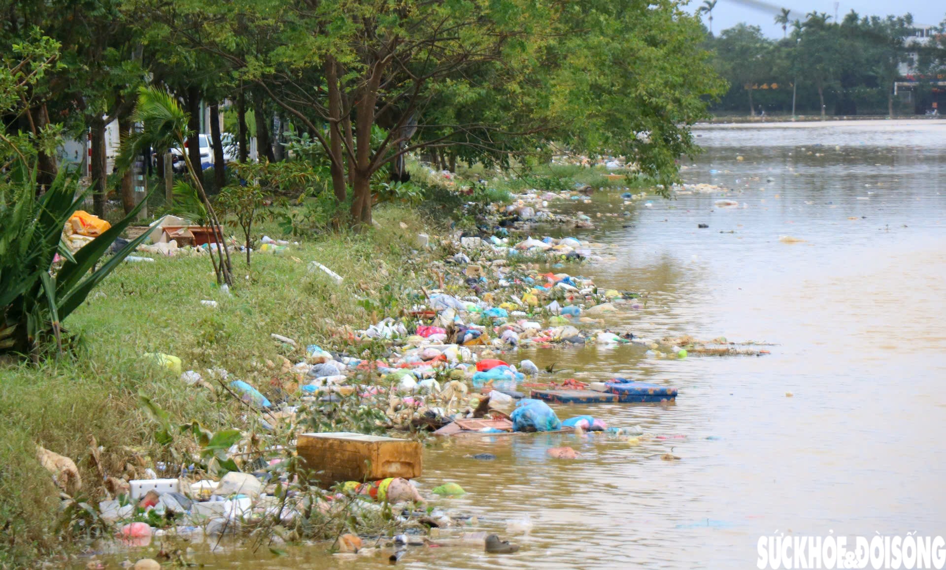 Sông hồ ở Huế ngập rác sau lũ, toàn thành phố thu gom hơn 5.500 tấn về nơi xử lý- Ảnh 2.