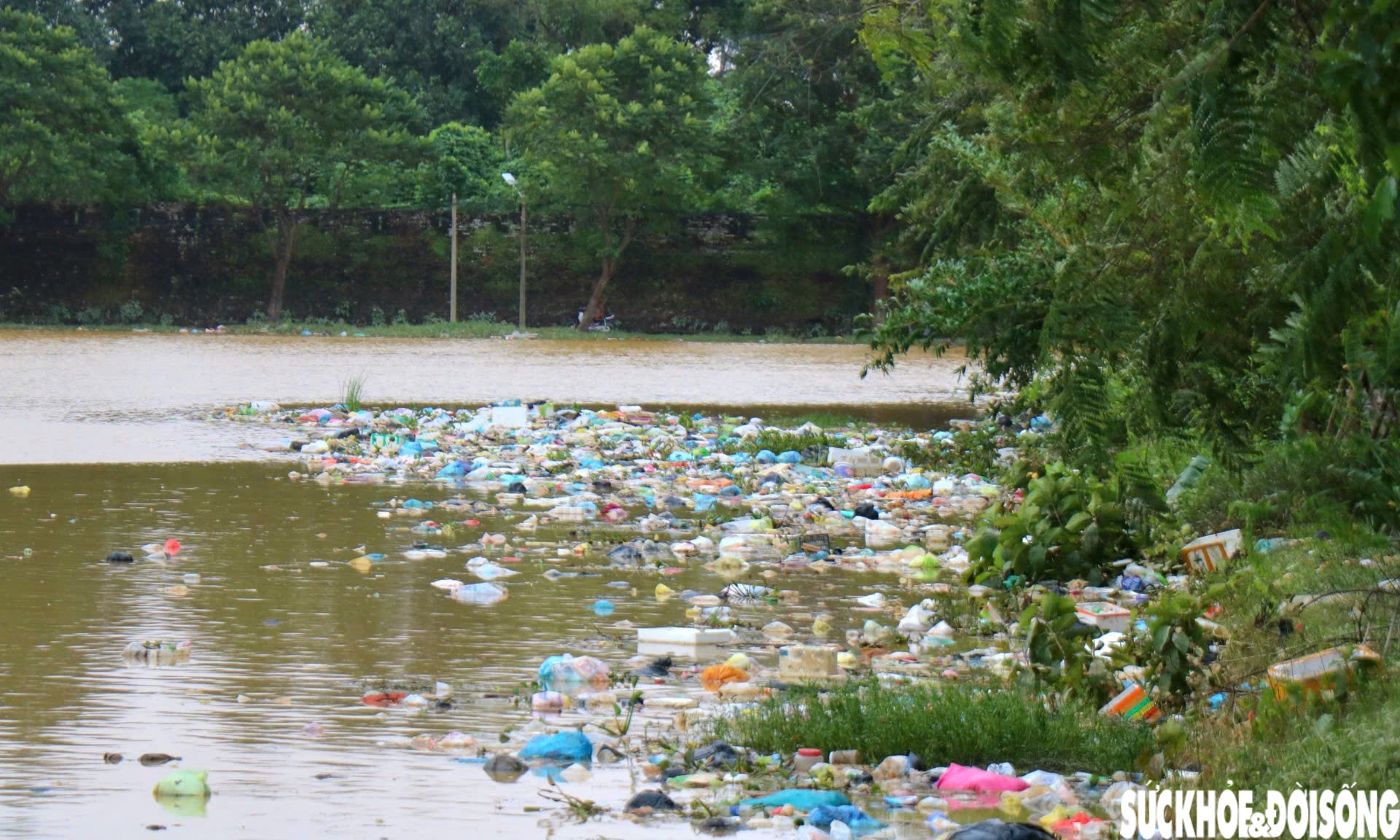 Sông hồ ở Huế ngập rác sau lũ, toàn thành phố thu gom hơn 5.500 tấn về nơi xử lý- Ảnh 3.