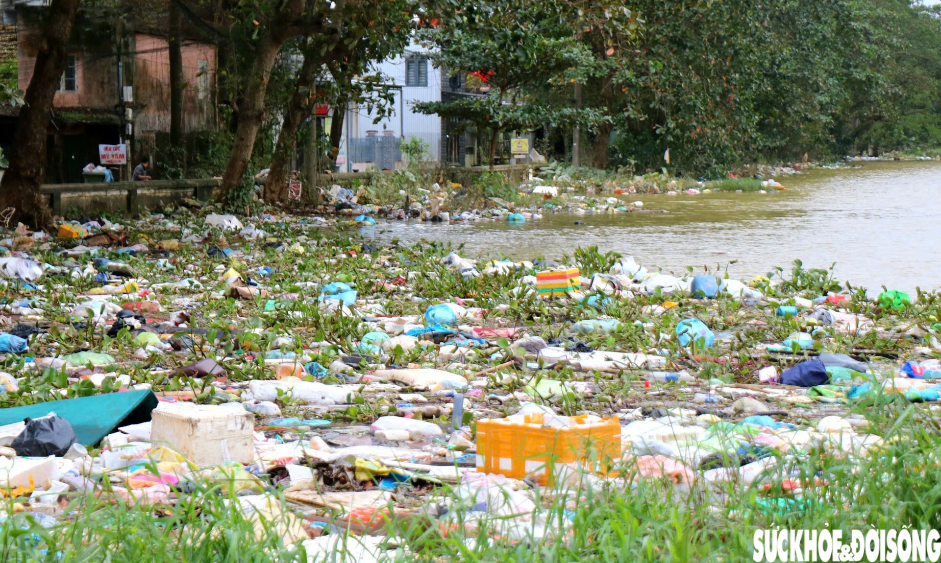 Sông hồ ở Huế ngập rác sau lũ, toàn thành phố thu gom hơn 5.500 tấn về nơi xử lý- Ảnh 5.