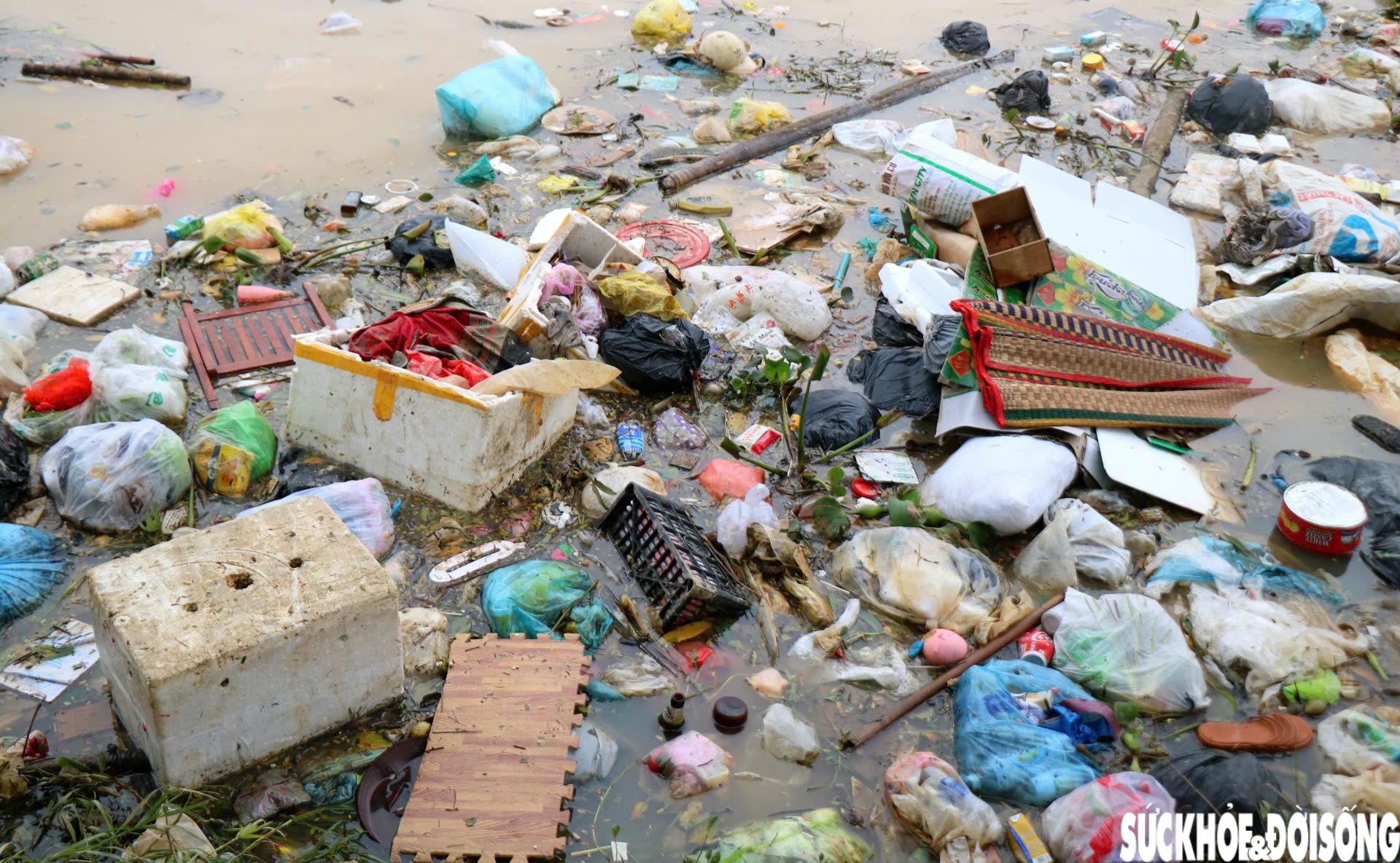 Sông hồ ở Huế ngập rác sau lũ, toàn thành phố thu gom hơn 5.500 tấn về nơi xử lý- Ảnh 6.