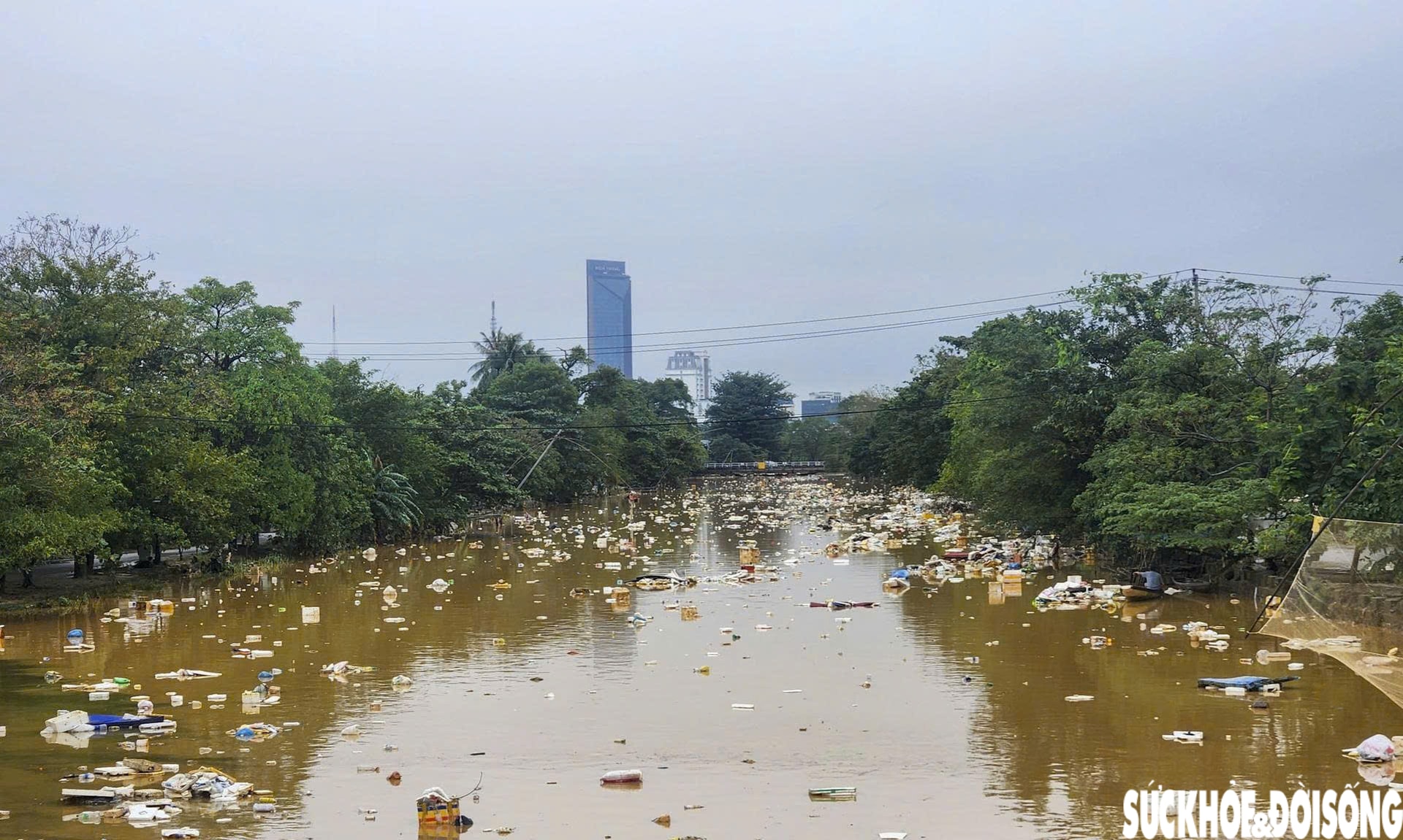 Sông hồ ở Huế ngập rác sau lũ, toàn thành phố thu gom hơn 5.500 tấn về nơi xử lý- Ảnh 9.