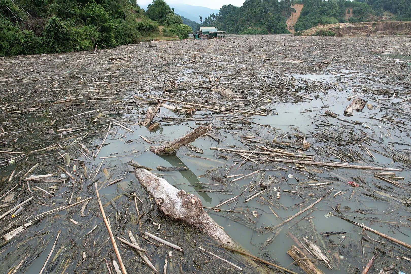 Nghệ An: Gỗ, rác phủ khắp mặt hồ thủy điện- Ảnh 4.