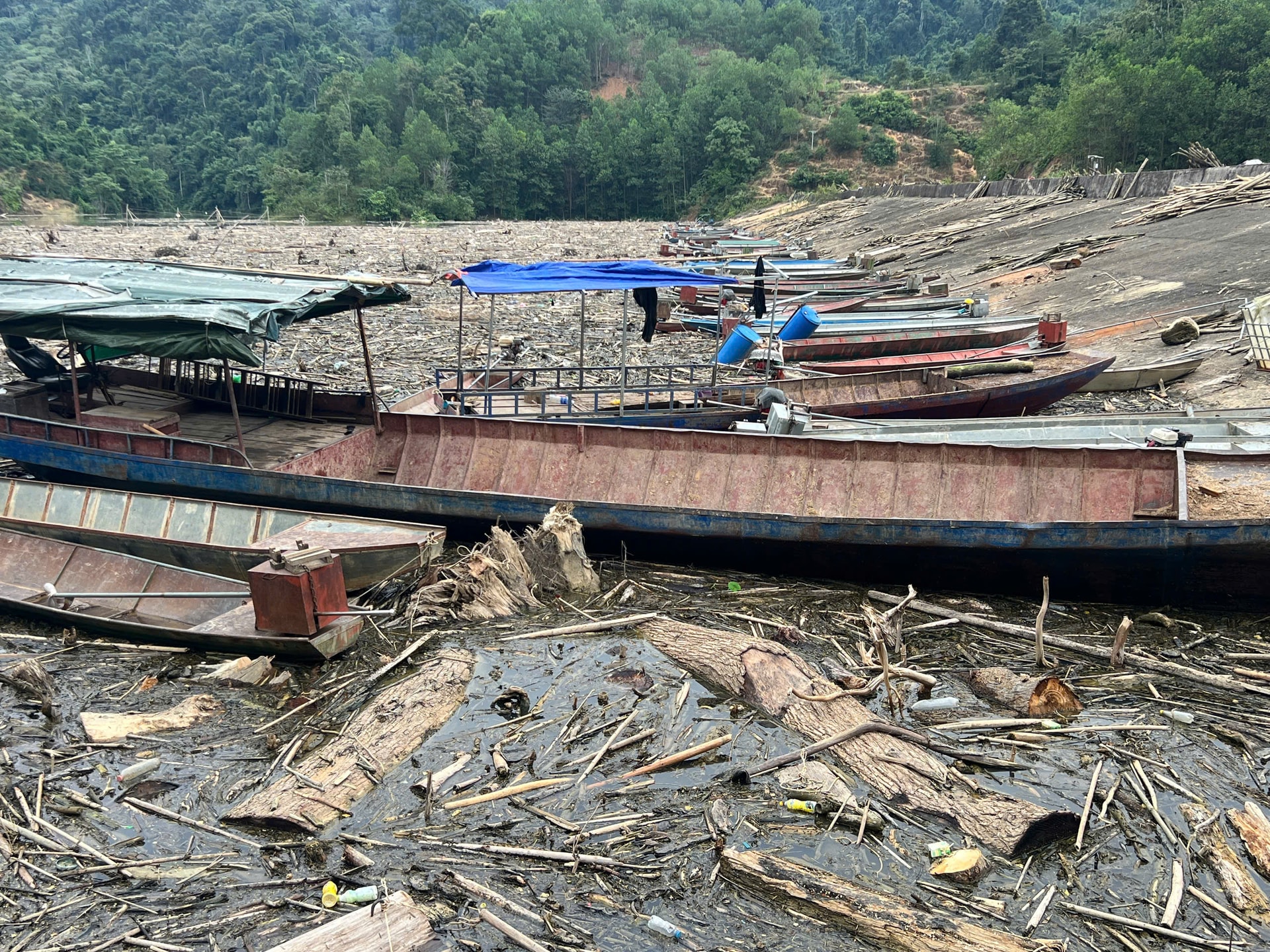 Nghệ An: Gỗ, rác phủ khắp mặt hồ thủy điện- Ảnh 14.