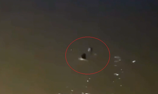 Người đàn ông 'vô danh' lao xuống dòng nước xiết cứu phụ nữ nhảy cầu- Ảnh 1.