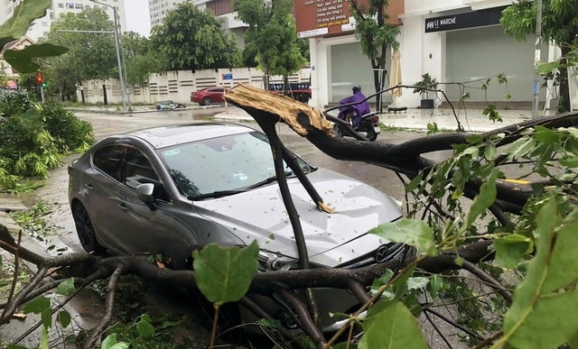 Chủ tịch UBND TPHCM chỉ đạo khẩn phòng, chống bão Kalmaegi- Ảnh 1. Chủ tịch UBND TPHCM chỉ đạo khẩn phòng, chống bão Kalmaegi- Ảnh 1.