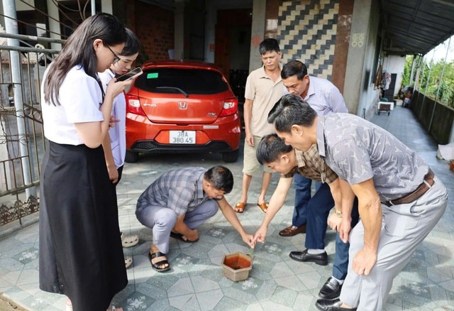 Ổ dịch sốt xuất huyết tại Hà Tĩnh được khống chế- Ảnh 1. Ổ dịch sốt xuất huyết tại Hà Tĩnh được khống chế- Ảnh 1.