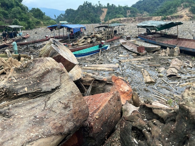 Nghệ An: Gỗ, rác phủ khắp mặt hồ thủy điện- Ảnh 7.