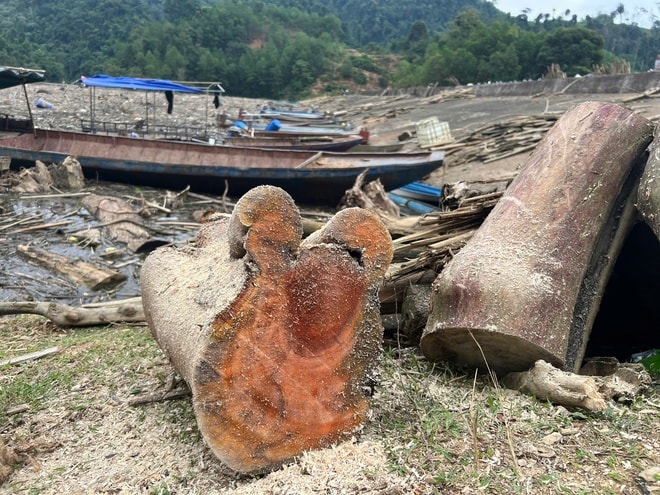 Nghệ An: Gỗ, rác phủ khắp mặt hồ thủy điện- Ảnh 6.