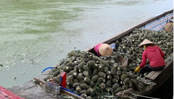 Đồng Tháp: Nhiều giải pháp hiệu quả để giảm nghèo bền vững- Ảnh 2.