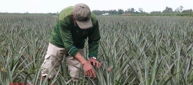 Đồng Tháp: Nhiều giải pháp hiệu quả để giảm nghèo bền vững- Ảnh 1.