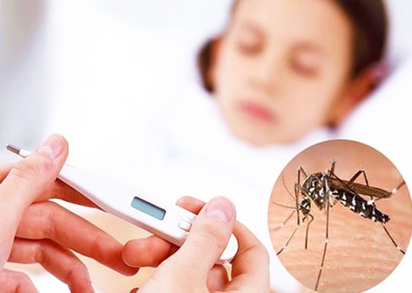 Lâm Đồng ghi nhận gần 7.000 ca sốt xuất huyết Dengue, 3 người tử vong- Ảnh 1. Lâm Đồng ghi nhận gần 7.000 ca sốt xuất huyết Dengue, 3 người tử vong- Ảnh 1.