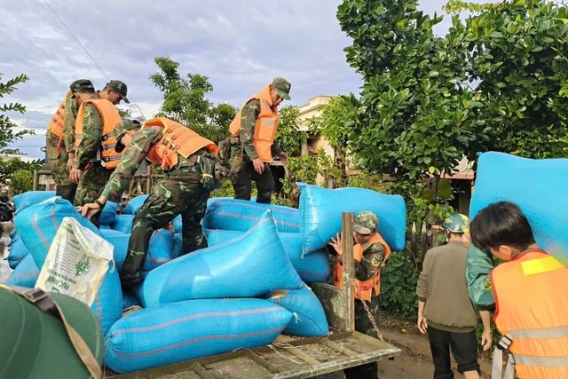 Xót xa hàng chục con trâu bị ngạt nước do bão số 13- Ảnh 1. Xót xa hàng chục con trâu bị ngạt nước do bão số 13- Ảnh 1.