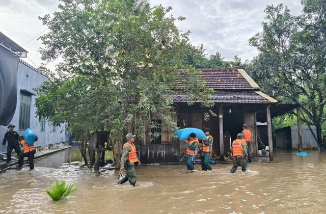 Xót xa hàng chục con trâu bị ngạt nước do bão số 13- Ảnh 5. Xót xa hàng chục con trâu bị ngạt nước do bão số 13- Ảnh 5.