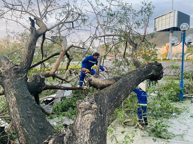 Quy Nhơn tan hoang sau bão số 13: Trụ đèn gãy đổ cả loạt, nhiều ngôi nhà tốc mái- Ảnh 4. Quy Nhơn tan hoang sau bão số 13: Trụ đèn gãy đổ cả loạt, nhiều ngôi nhà tốc mái- Ảnh 4.