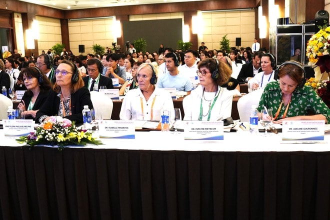 Xây dựng hướng dẫn chuyên môn cho hơn 20 nhóm hội chứng và bệnh lý đặc trưng ở người cao tuổi- Ảnh 3. Xây dựng hướng dẫn chuyên môn cho hơn 20 nhóm hội chứng và bệnh lý đặc trưng ở người cao tuổi- Ảnh 3.