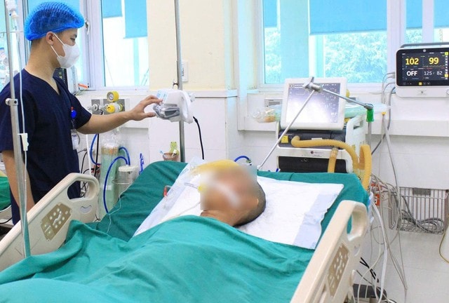 Hai người hôn mê nghi ngộ độc do uống rượu thuốc từ lá rừng - Ảnh 1. Hai người hôn mê nghi ngộ độc do uống rượu thuốc từ lá rừng - Ảnh 1.