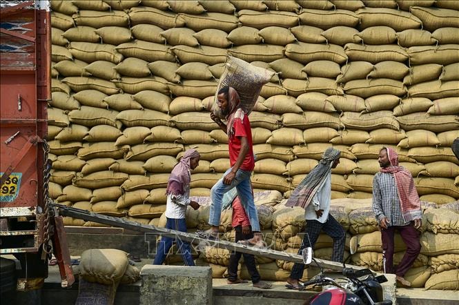 Cầu yếu, cung tăng gây sức ép lên giá gạo xuất khẩu của các nước châu Á- Ảnh 1.