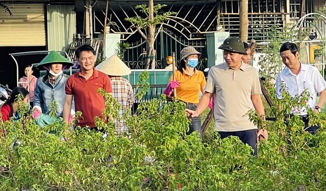 Huế ra quân tổng vệ sinh môi trường khắc phục hậu quả sau lũ lịch sử- Ảnh 5. Huế ra quân tổng vệ sinh môi trường khắc phục hậu quả sau lũ lịch sử- Ảnh 5.