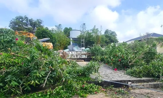 Cưỡng chế, thu hồi hàng chục nghìn mét vuông đất lấn chiếm ở đồi cát bay Mũi Né- Ảnh 2.